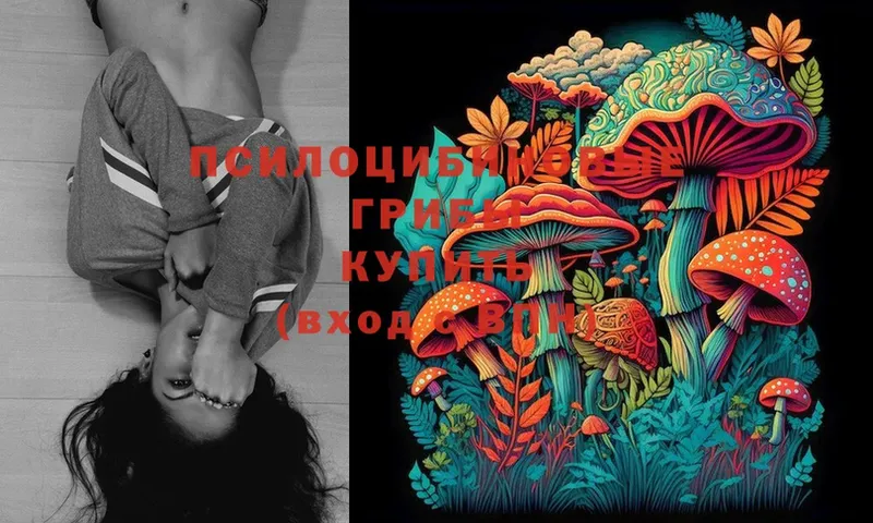 Псилоцибиновые грибы MAGIC MUSHROOMS  Дятьково 